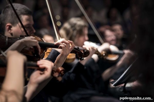 pg电子试玩网深度解析：快速决策能力如何重塑体育竞技格局