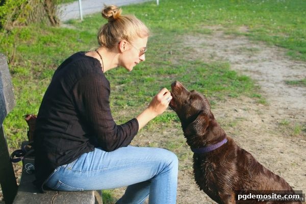 掼蛋起手策略深度解析：pg电子试玩网安卓端下载与高手心得