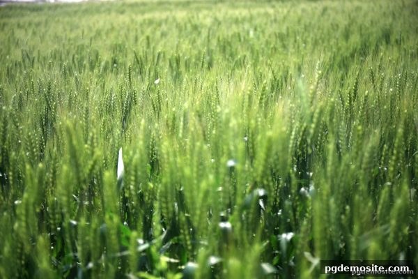 pg电子试玩网：老虎机团队互动玩法深度解析