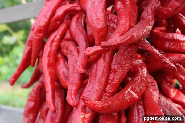 pg电子试玩网深度解析：银行卡充值下彩票单式与复式投注的差异对比