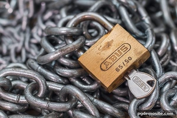 pg电子试玩网：推牌九数字娱乐的纠纷应对与认证保障指南