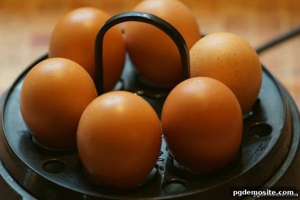 pg电子试玩网深度解析：SG飞艇免费旋转与备用域名的设计奥秘