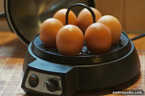 pg电子试玩网深度解析：21点符号体系如何左右胜负概率